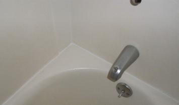 Removing and eliminating black mold in the bathroom