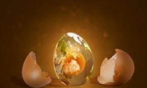 Fortune-telling on the egg squirrel meanings