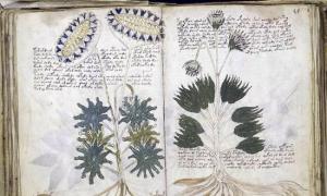 Para saintis Kanada mendakwa mereka telah menyelesaikan misteri manuskrip Voynich