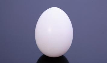 Conspiracy with an egg.  Conspiracies.  Removing spoilage, rolling out an egg.  Love spell on a chicken egg and water